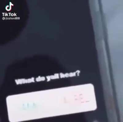 idk how you guys but I heard Yanny too