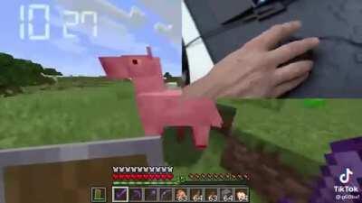 Inch bin ein gamer! 😌😌😌😎😎😎