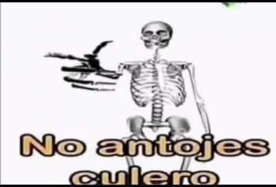 Veo un perro muerto en la calle: