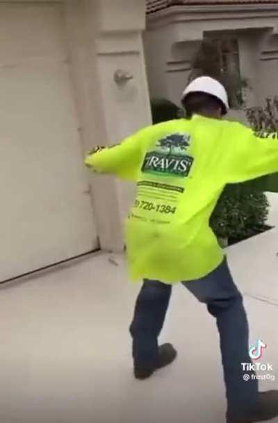 how did it survive such a fall?