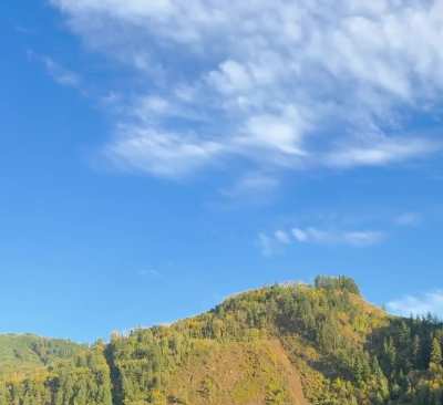 Yelping went on all evening