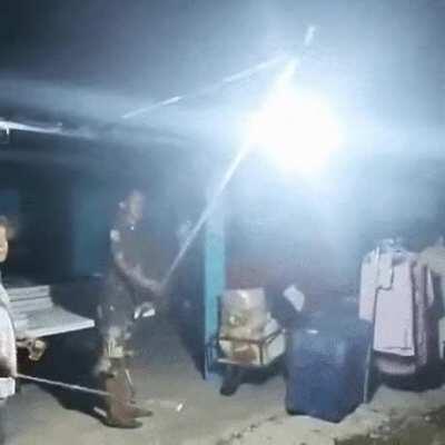 Removal of flying insects