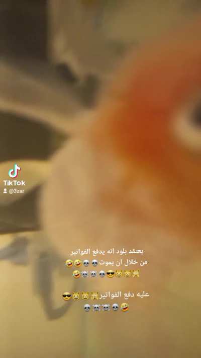 بلود ذهب الى الجنه🤣🤣💀💀