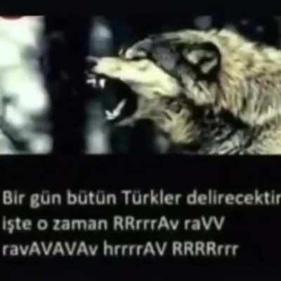 Türk olunca benim surad