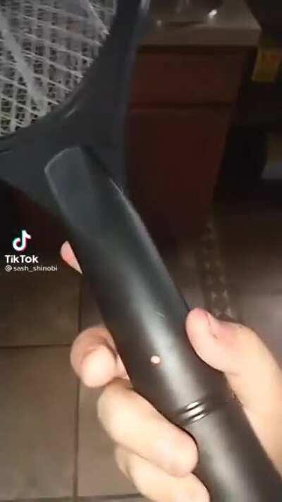 Poor dog meets Electricity