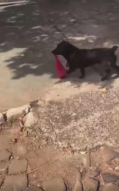 Someone is looking for this.