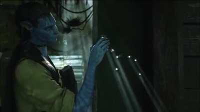 Avatar meme oc (from a deleted scene, perhaps deleted for the reason this meme exists)