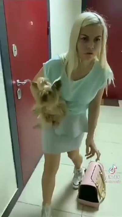 Stoppin crime with just a phone and a Yorkie