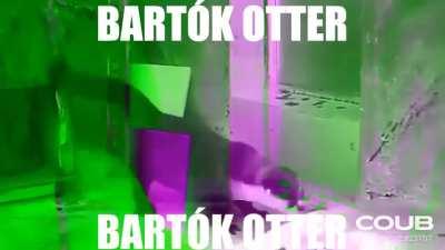 🤔🤔 ngl he do be incorporating folk rhythms doe 😳😳😳