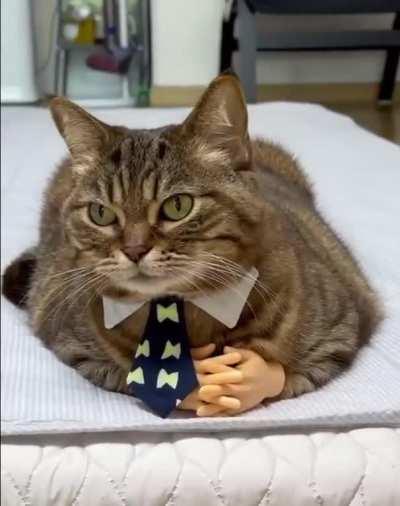 Come in. You and I are going to have a serious conversation today.