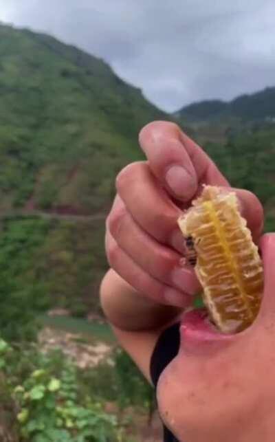 Guy eats fresh honey with a bee on it