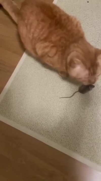 He got distracted from the real prize