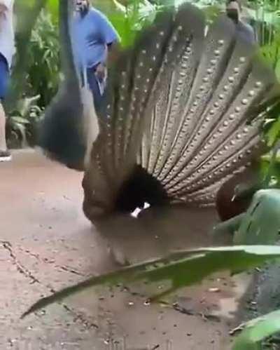 Dude, she's not interested