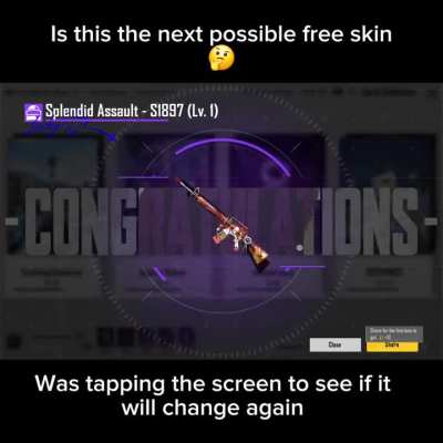 Possible next free card gun/skins?