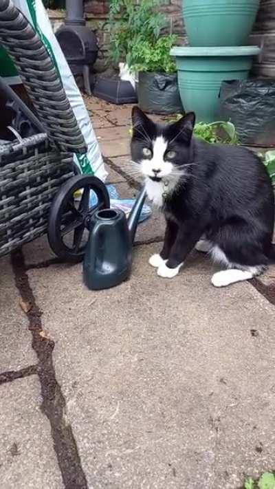 I turn my back for two seconds...