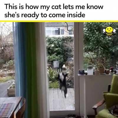 I can't stop laughing at this