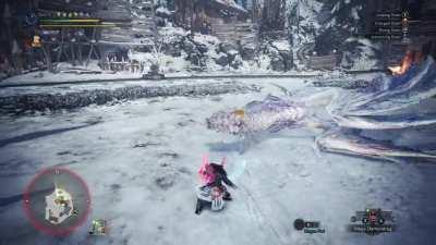 Teaching Velkhana why lowering their head is a bad idea during flight.