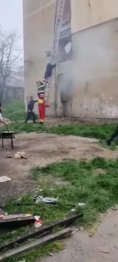 Normal day in Ferentexas