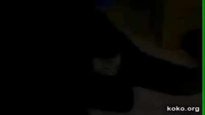 yeah yeah yeah it monkey time