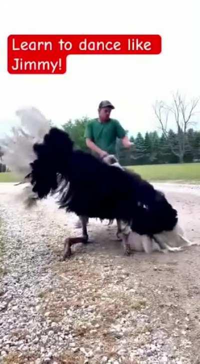 How to impress your date