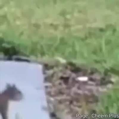 Mortar launched, a direct sh*t sir.