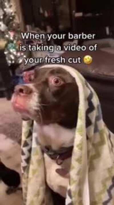 I see so many of these.