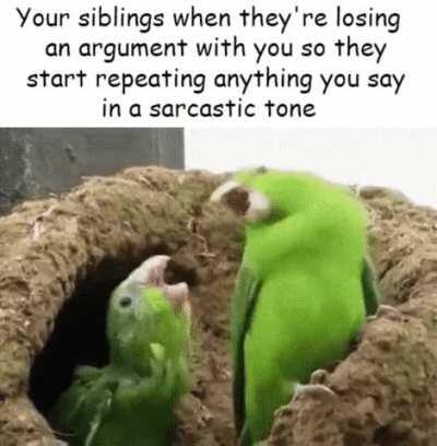 They do this all the time