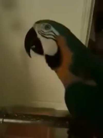 Turn down volume in public