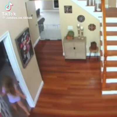 This is all fake 💀