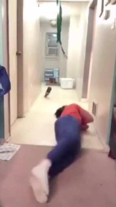 New meaning to coke hurts your teeth