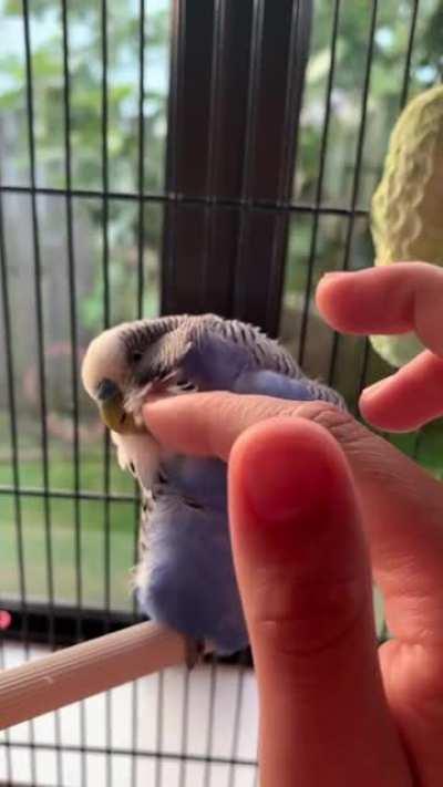 Only took 3 years to build this trust 🥲