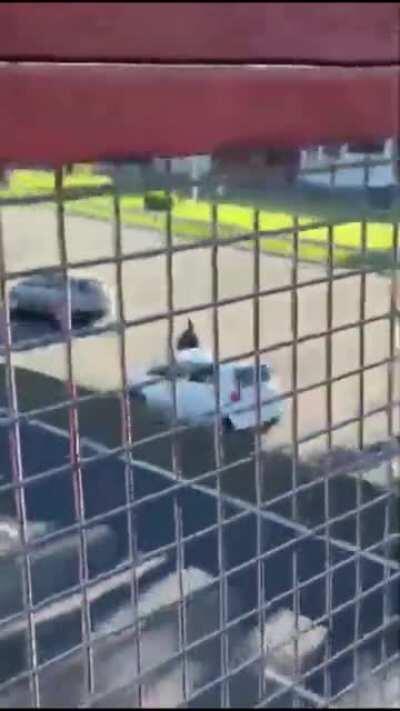 DoV crossing the highway like frogger