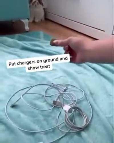 I have come to make an announcement shadow the hedgehog is a bitch ass motherfucker