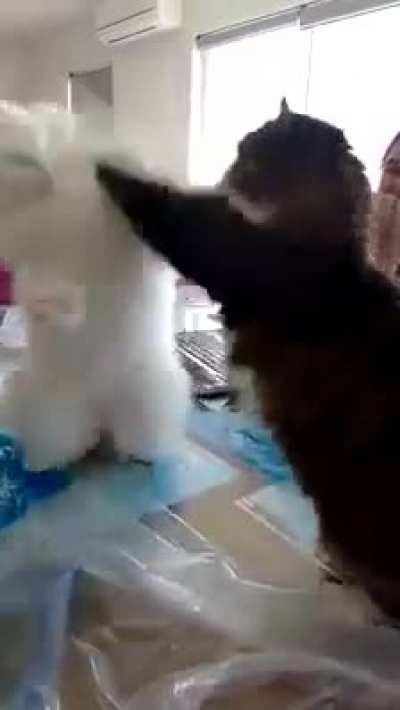 7th year of marriage