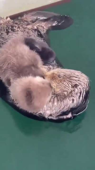 Moms are special creatures of the world.