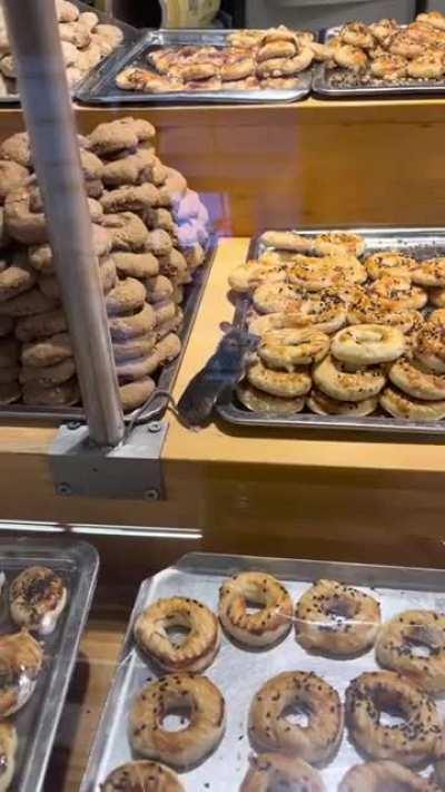 İstanbul'da bir markette fare karnını doyururken görüntülendi