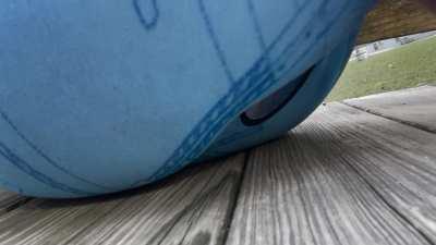 Lil prewwie 👻:ofc.theali