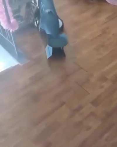 Atomic Roomba, automatized destruction 