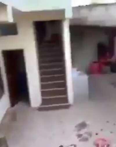 Best sequence shot ever