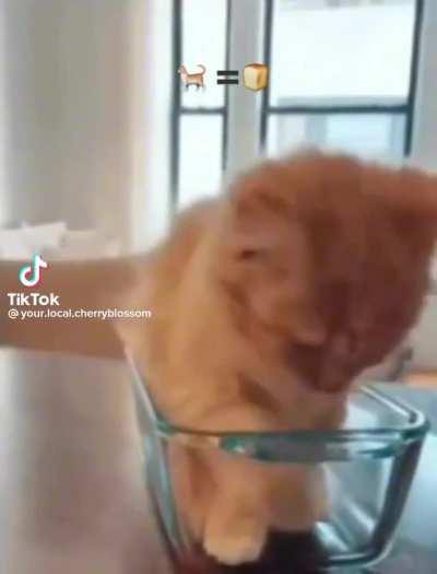 he will be baked into bread