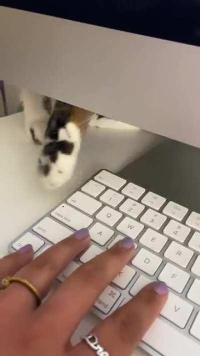 When your coworker wants attention