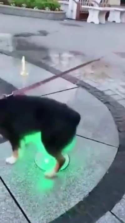 somibari | DISCORD OFICIAL NOS COMENTÁRIOS