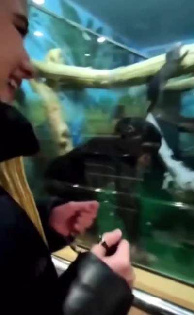 Wordingtonian ancestor