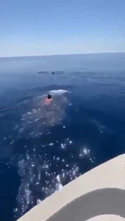 Mert, the Shark Rider.