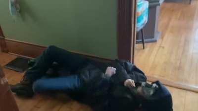 The Blight in a Nutshell.