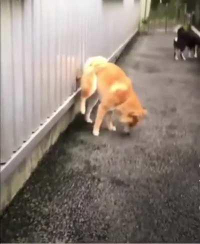 Bomb has been planted💣