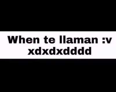 Primer post, primer momazo :v