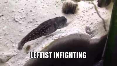 They doing the praxxis though