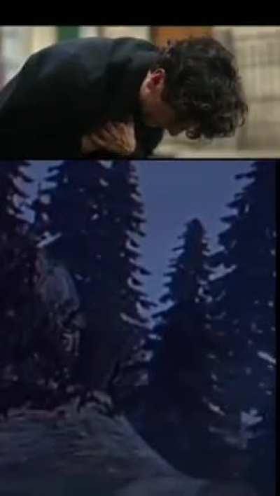 this will not be the last of me