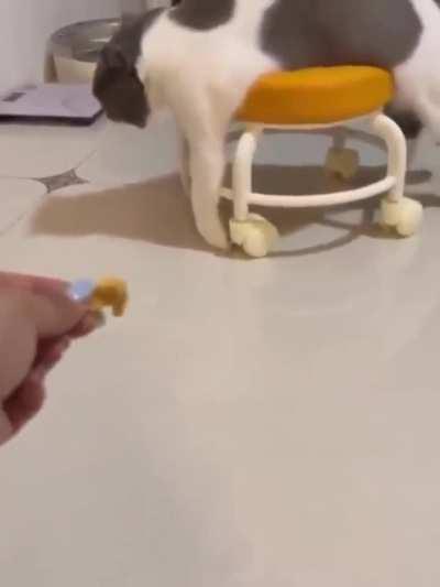 Racing wunk coming in for a pitstop